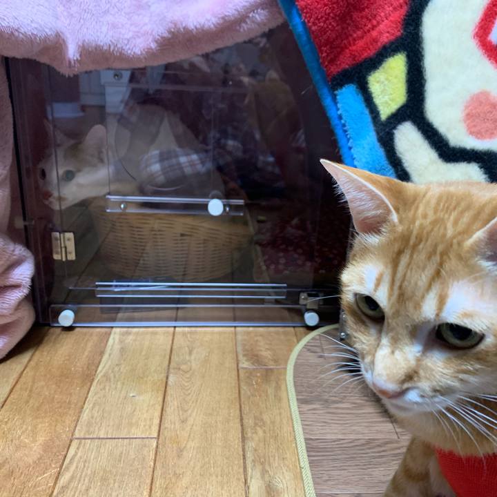 F0cf14f0 38dd 46d2 aec9 689e3f1b086e 1578923657160