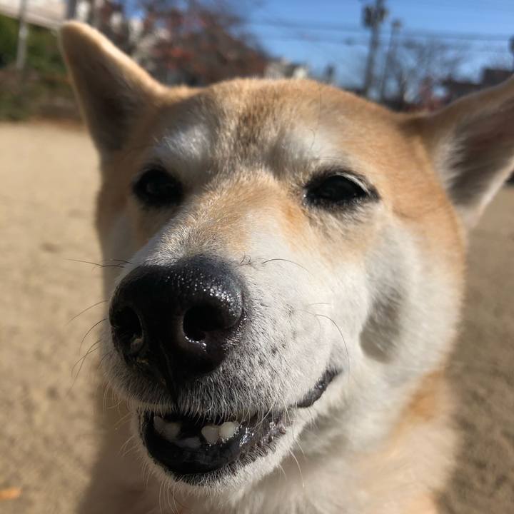 F0cf155e 91cc 4812 b5f0 94bffe39ba85 1576473875802