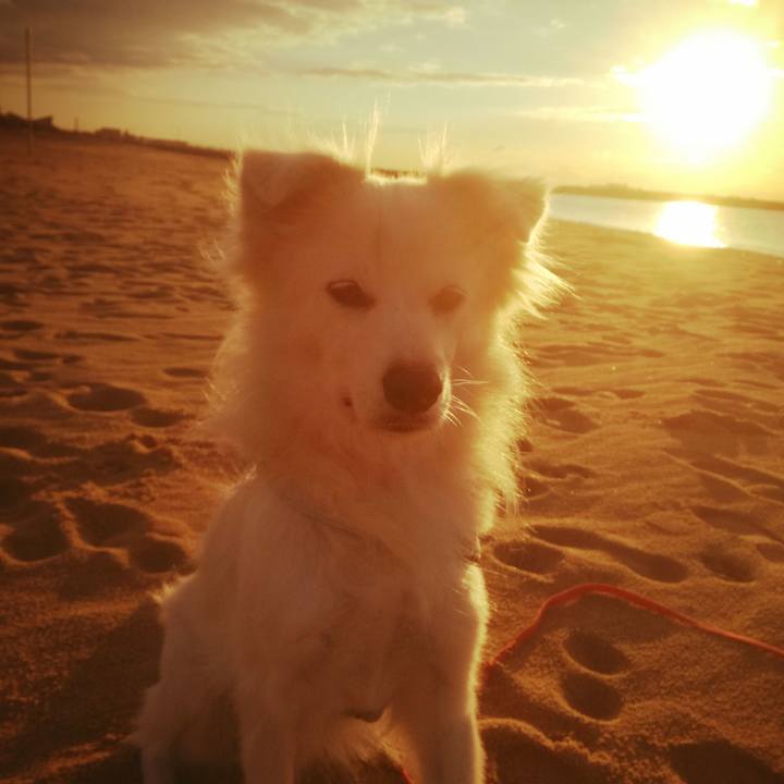 F0cf27e8 9d06 4b58 80fc a915c4c13501 1511222060982