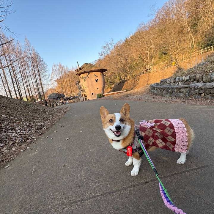 F0cf9a13 147f 4fe1 97d8 4e4eedcbd058 1771154908551