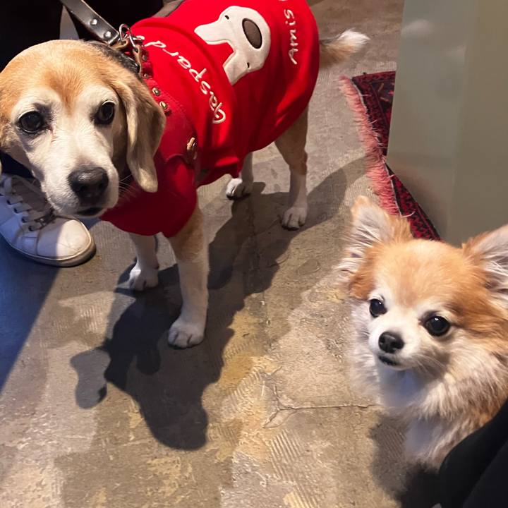 F0cf9fe0 9649 4484 aa8b 821e022ed6f5 1768878086103