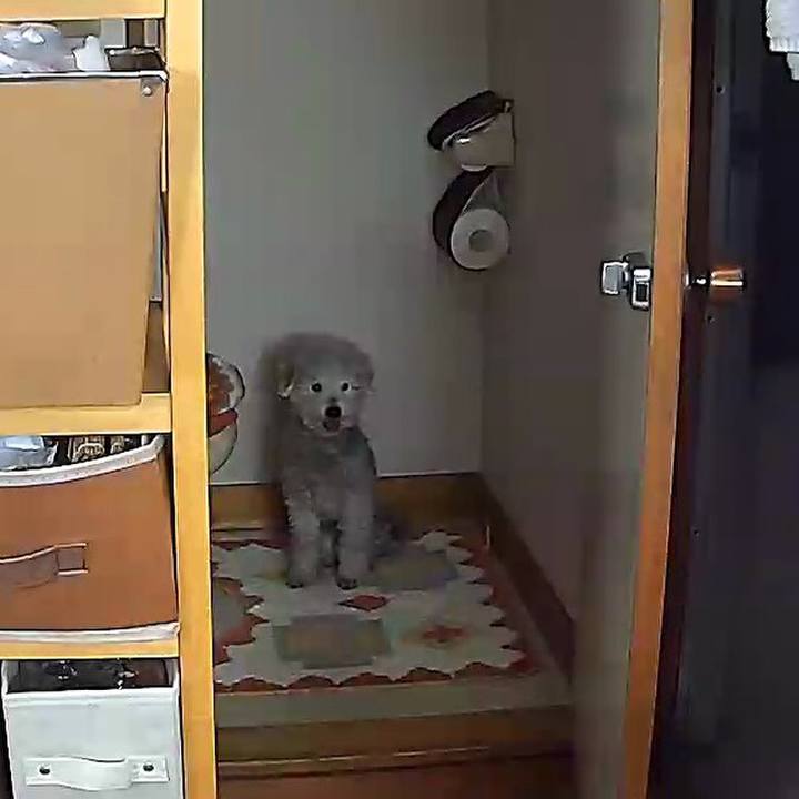 F0cfbb33 ff1c 49cf 8238 f614122bdf60 1620789808825