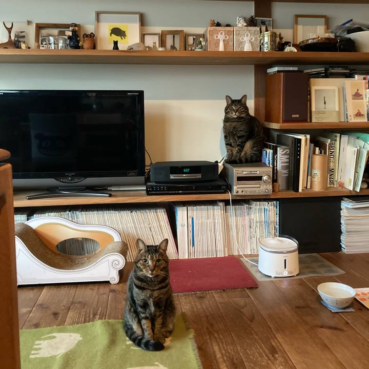 F0cfc385 b8e7 4e99 9728 343b990034bc 1763640804188