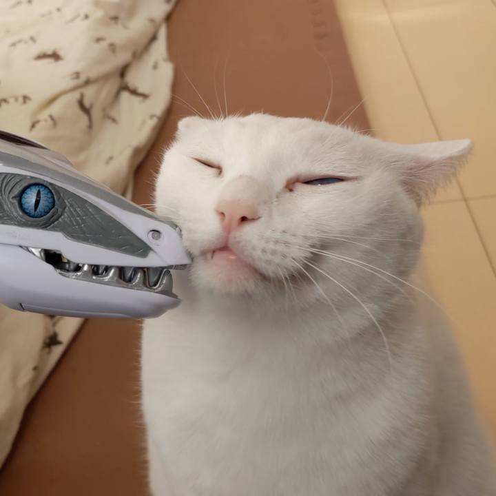 F0cfc933 b3d2 48c5 94a7 a5e2e1469ce1 1648300541715