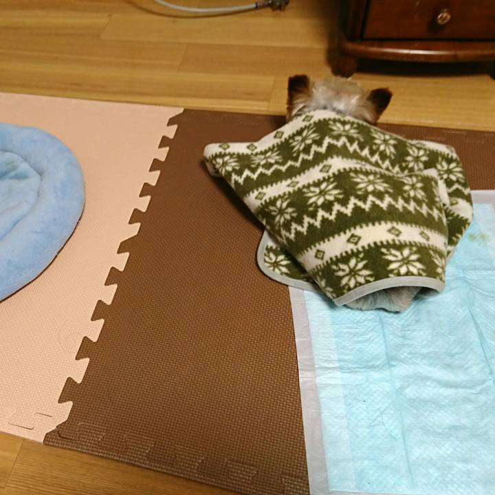 F0cfcd2d eb73 4f40 ad04 fc704e785959 1514292808147