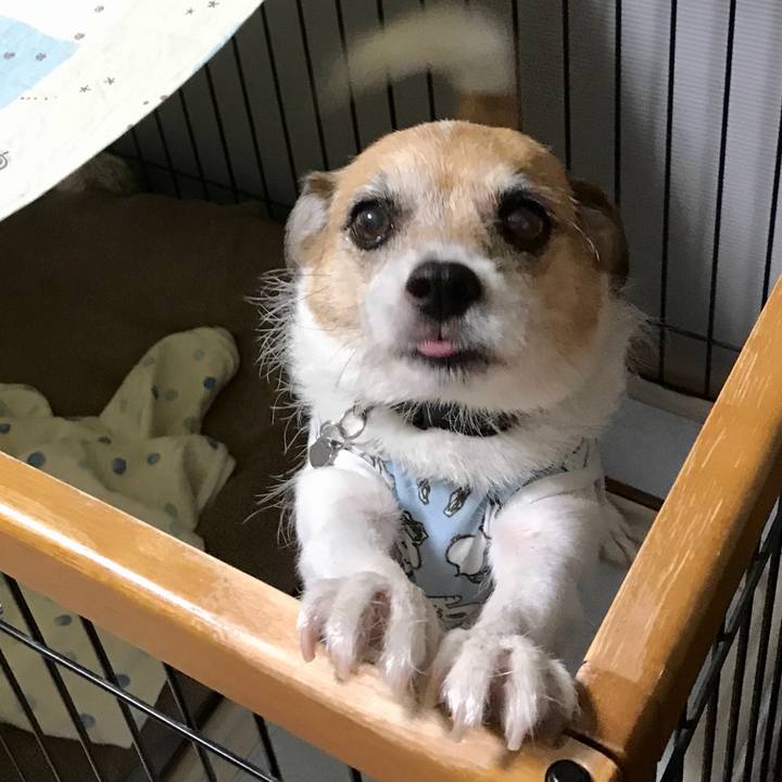 F0cfe9de 2355 42b1 9ade dfa362ea477a 1598391619239