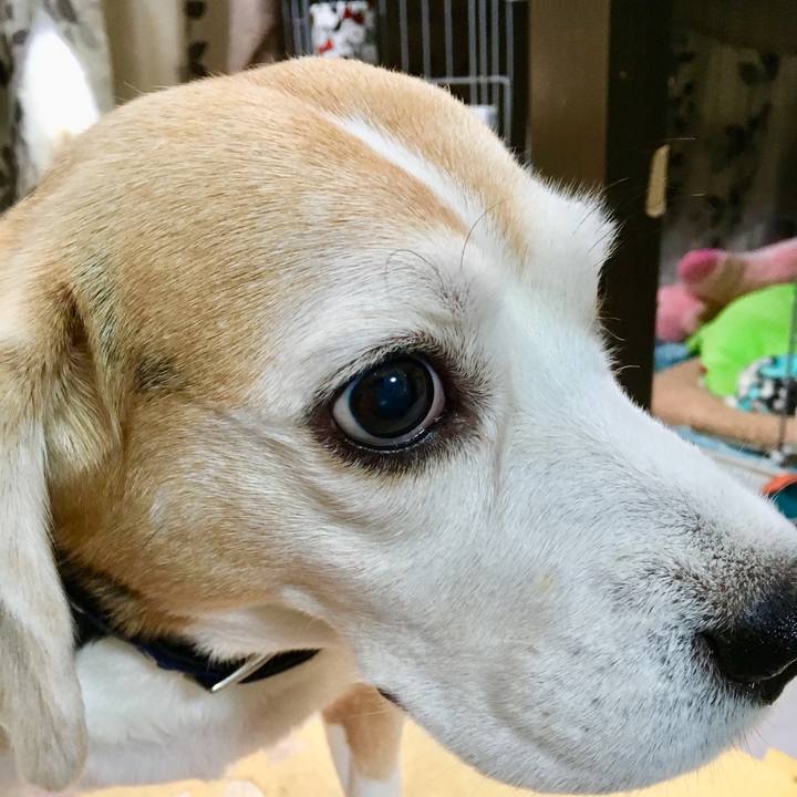 F0d010c0 e591 4c56 b789 2a5c30d1c25b 1561607355533