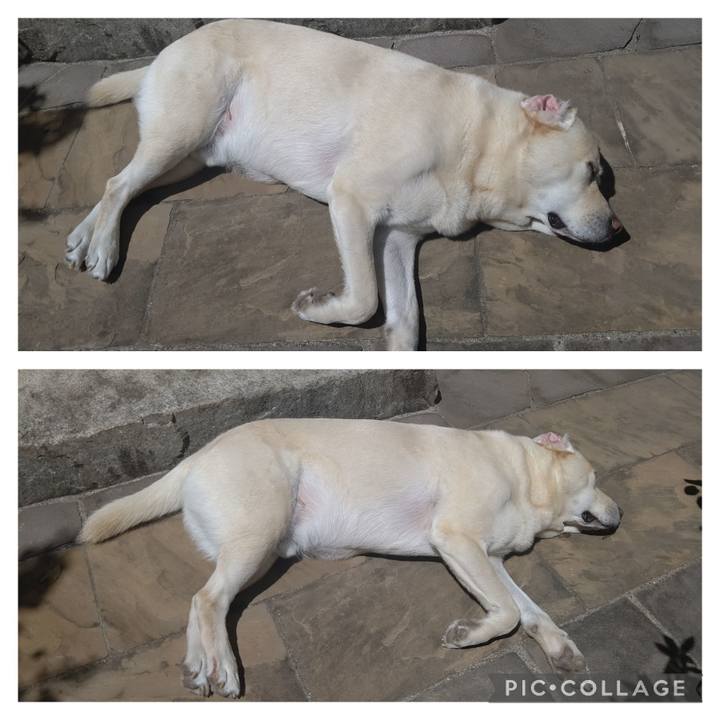 F0d03f9b 613c 4786 9433 44f80305bcb3 1690777464509