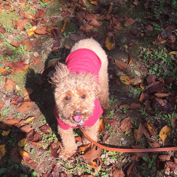 F0d06141 99d4 4b86 a417 b0098f00f058 1539261833305