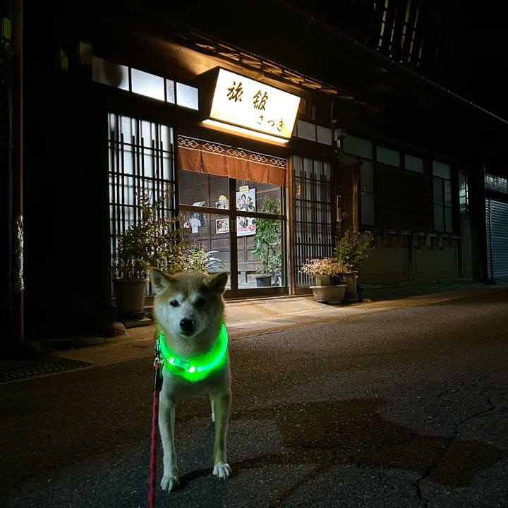 F0d0a532 5f8d 40c3 b7dc dff34cc178a0 1697539544355