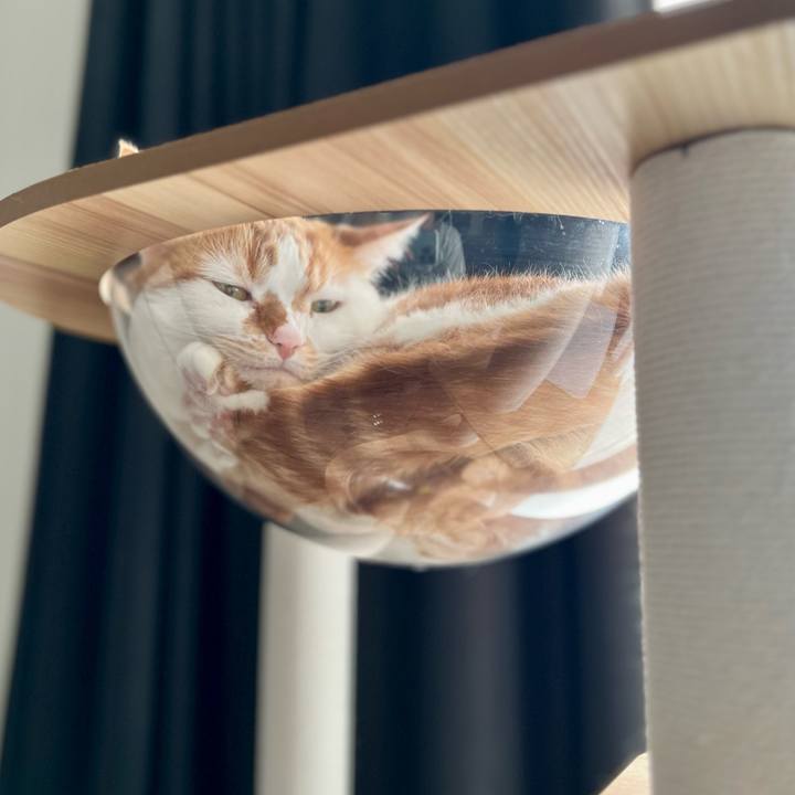 F0d0e794 91ff 4bcb 86cc 2181ffdcd3da 1755662702962