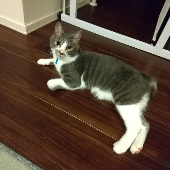 F0d0f9ec fca7 4501 b6c5 a24ff88af0ad 1597327773991