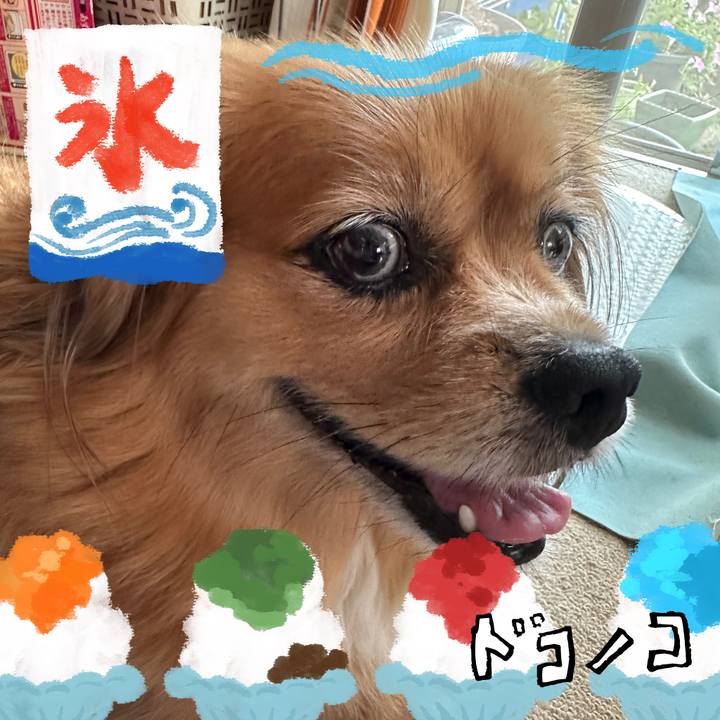 F0d0fce3 34b4 4124 8737 5409639114c2 1723414206281