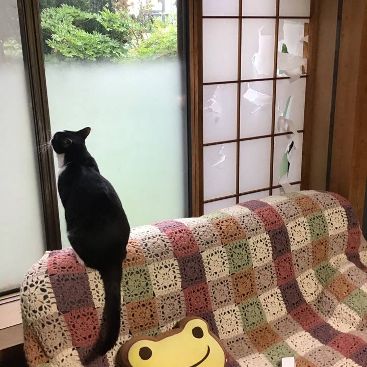 F0d10cf1 8aa0 450b a0c7 35d4b953ae1f 1719099713409