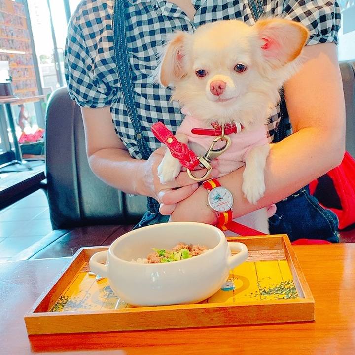 F0d11963 afa1 4ed9 8708 5d70e6a4434f 1634019470785