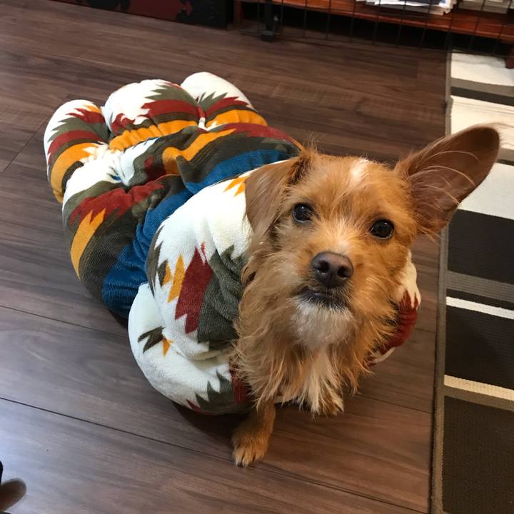 F0d16b93 6872 4ed2 aef6 52ad9d7f219b 1542443503638