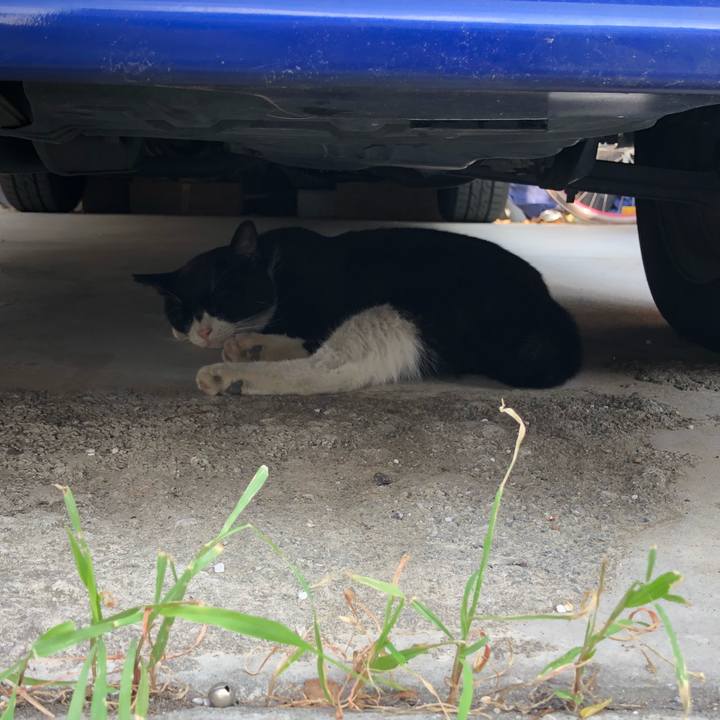 F0d16ccb e4a4 415e 9032 328fcc2568fe 1535774191351