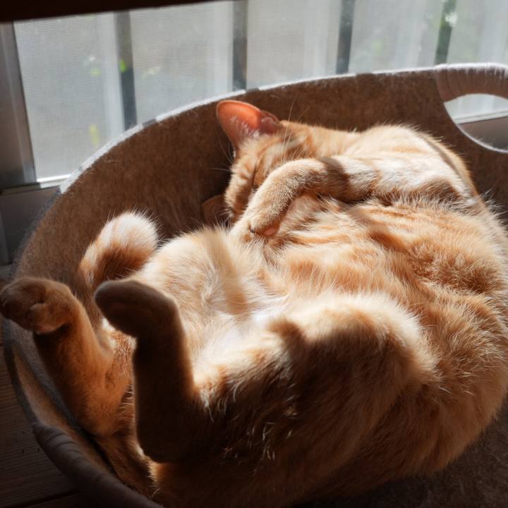 F0d1755d bae6 450c a3bb ef899d1d7e83 1730988909949