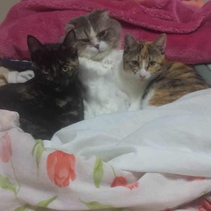 F0d19e58 211a 4520 9ddb b98dfdfbbed1 1734194752053