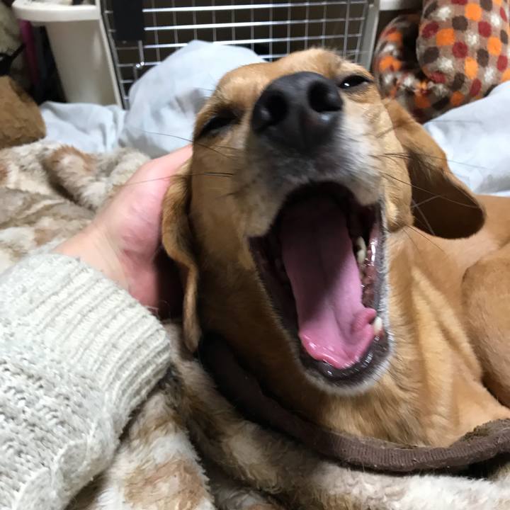 F0d19edd 510d 462b 9faf 0f0ef4a113f2 1549883246676