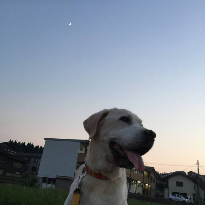 F0d1ba8b 42c8 46c0 954c e431684f9b0f 1547451670791