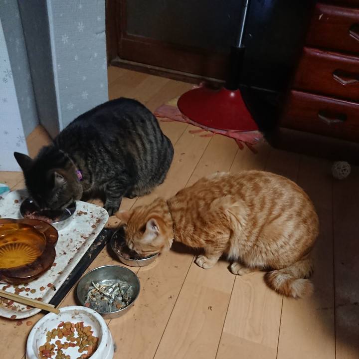 F0d1f412 be94 4ced 8e9f 63a9a0466f88 1648331660395