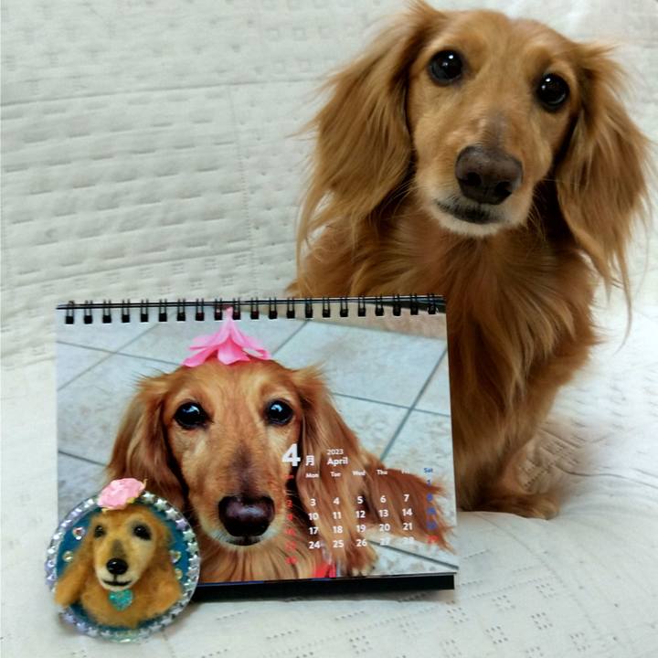 F0d20691 e7ff 439a a003 19c932e51c5f 1680772646318