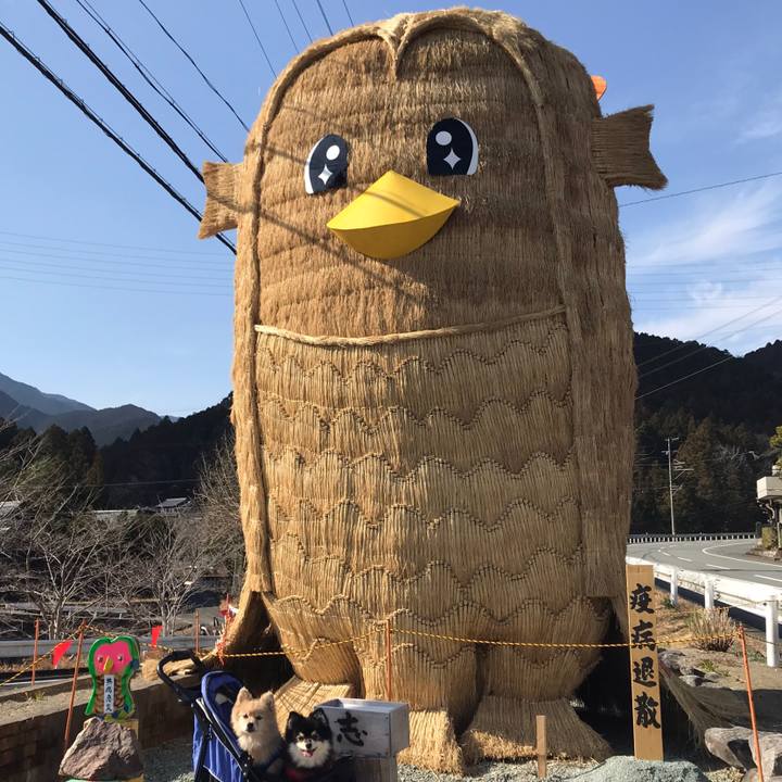 F0d21e40 2ba3 4f51 9b3d 714362a4e338 1611153485548