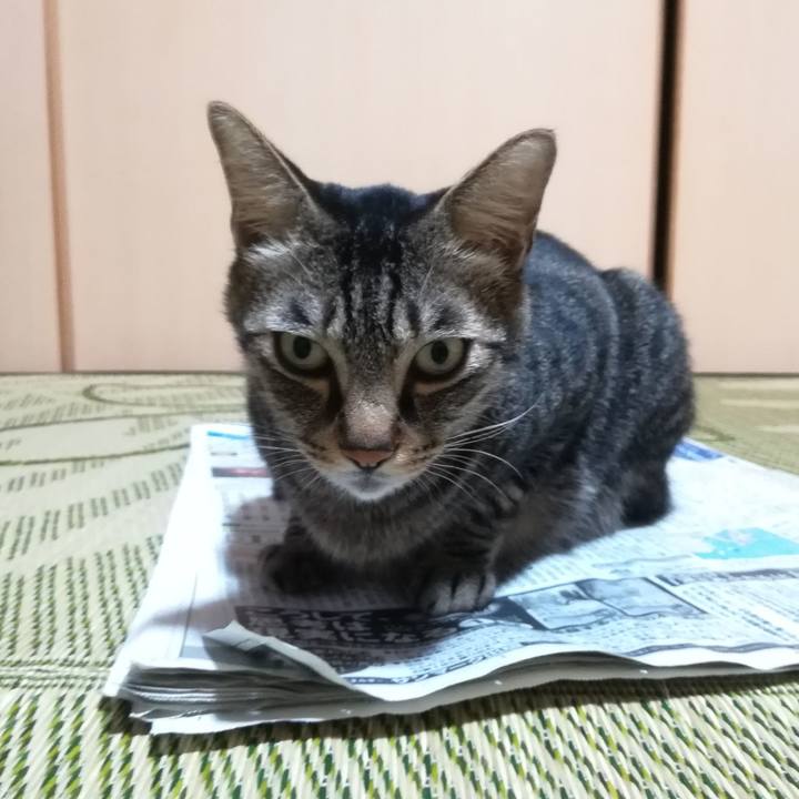 F0d22d5b 0188 4cb5 b901 2d619ffae0e1 1564835701269