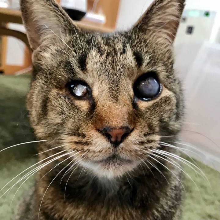 F0d253af b34a 4ef2 a964 ff1d64593819 1617970877048