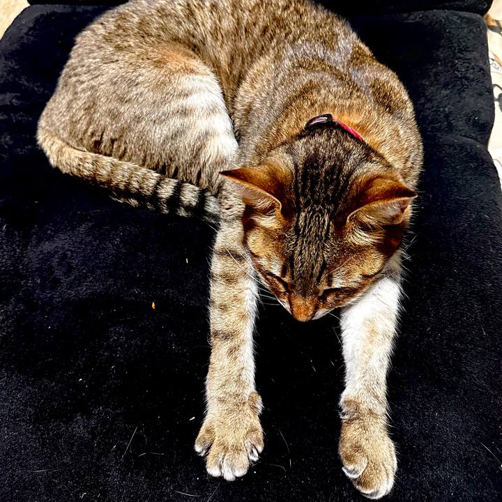 F0d2a137 c735 4a5e a0a1 be888948c773 1768830315968