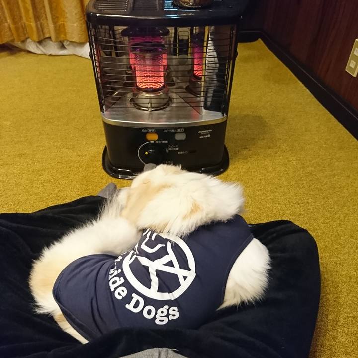 F0d2abf5 442e 4ce0 87c9 8a41c960dfc3 1549138874846