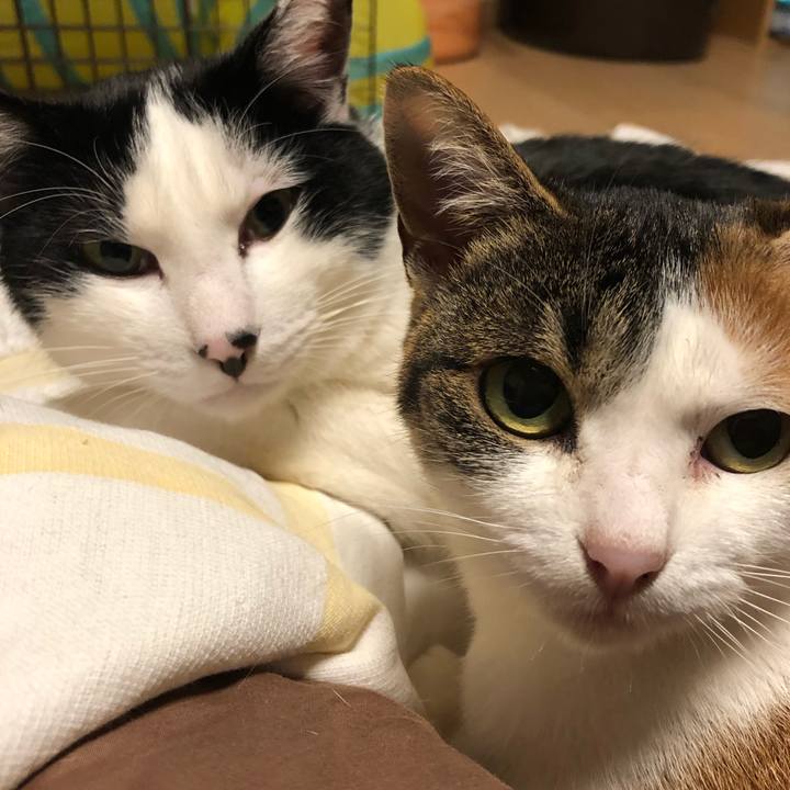 F0d33682 199e 4a80 9931 34503ee1dad7 1579794757854