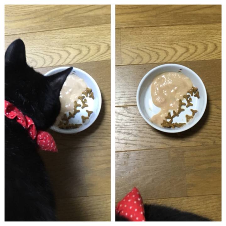 F0d39917 4e62 4bde bfbc 4bc768896046 1537966471753