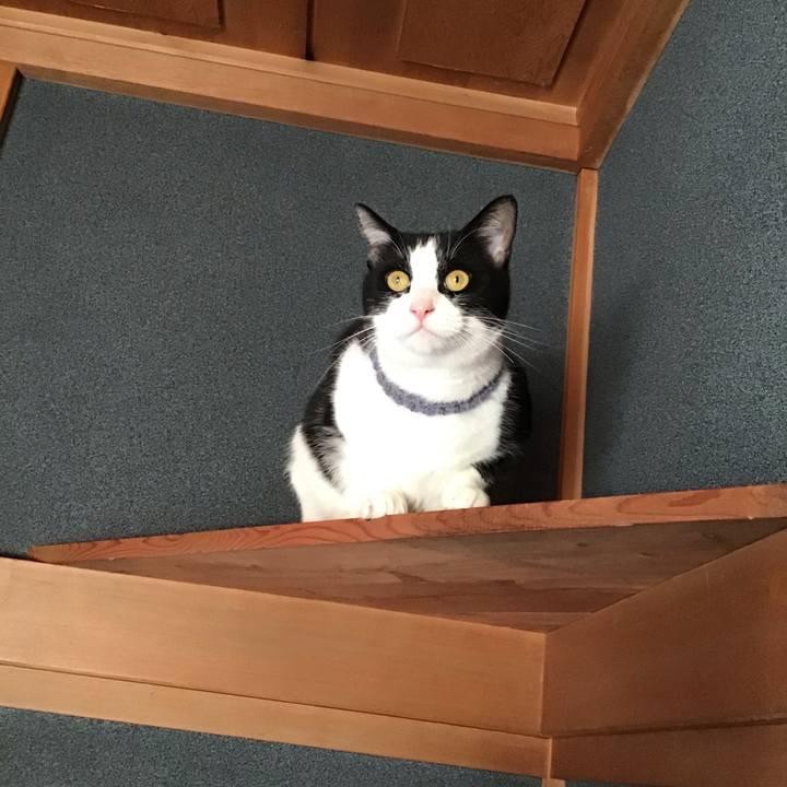 F0d3c16e 355c 4257 8c16 8992f120ec30 1669978635549