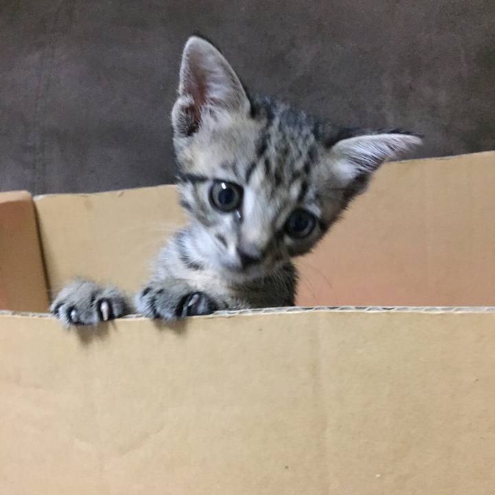 F0d3ccbc 51f7 4e35 b09c 167b955a7730 1533737351277