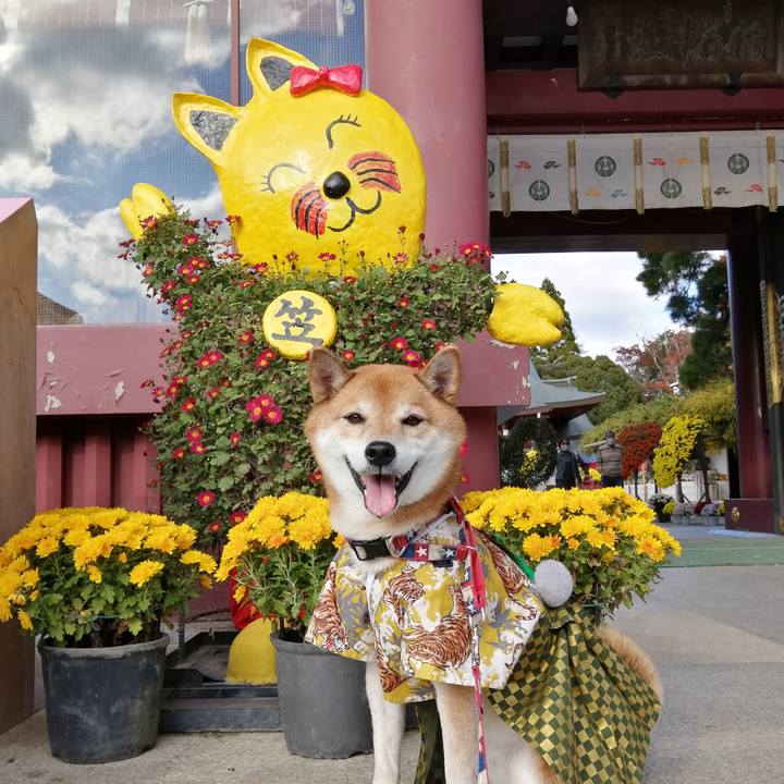 F0d4067b f460 4f4a b97a a32bdbee1131 1667963515523