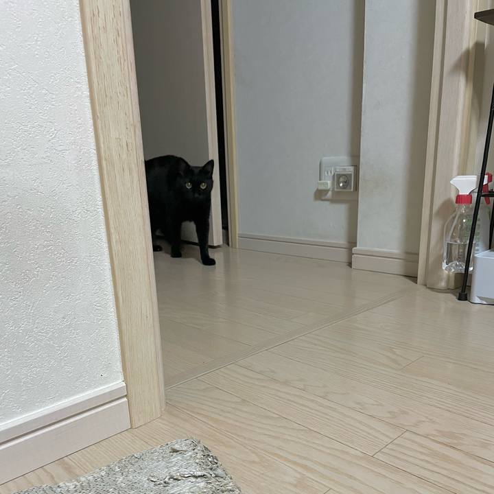 F0d41122 26e2 4036 b266 3e6541435064 1684324396158