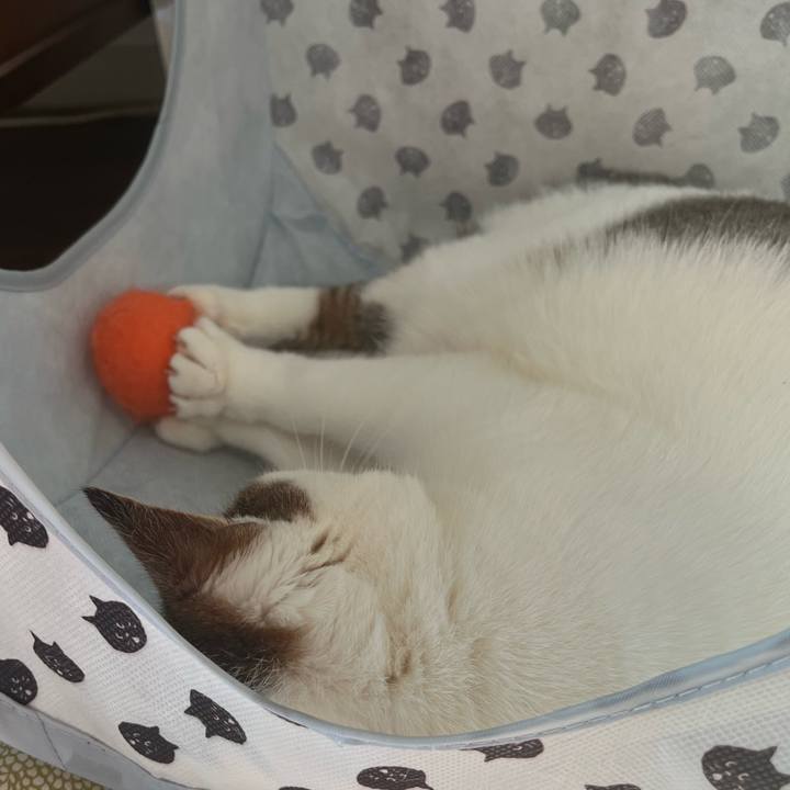 F0d433b4 bc7a 43bf ac3c cb37047adda7 1644047014447