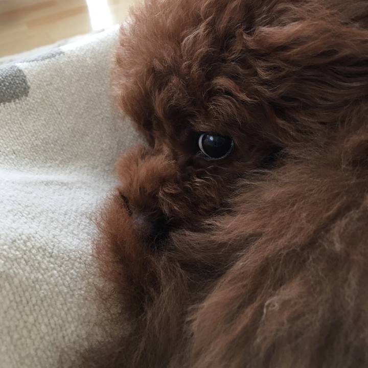 F0d4a09b 5b2a 4e51 9714 d1086fa07f0e 1525324408589