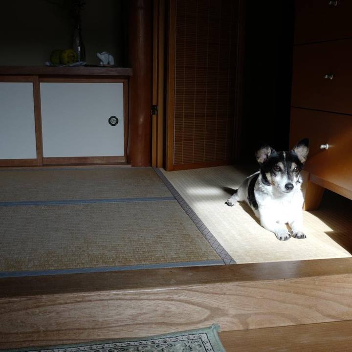 F0d4c22e bb2a 425f b507 a16d06a6edf3 1634791066616