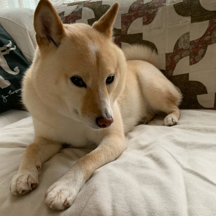 F0d4f622 9c21 4be6 b96e 41ef9e21deb6 1623626459523