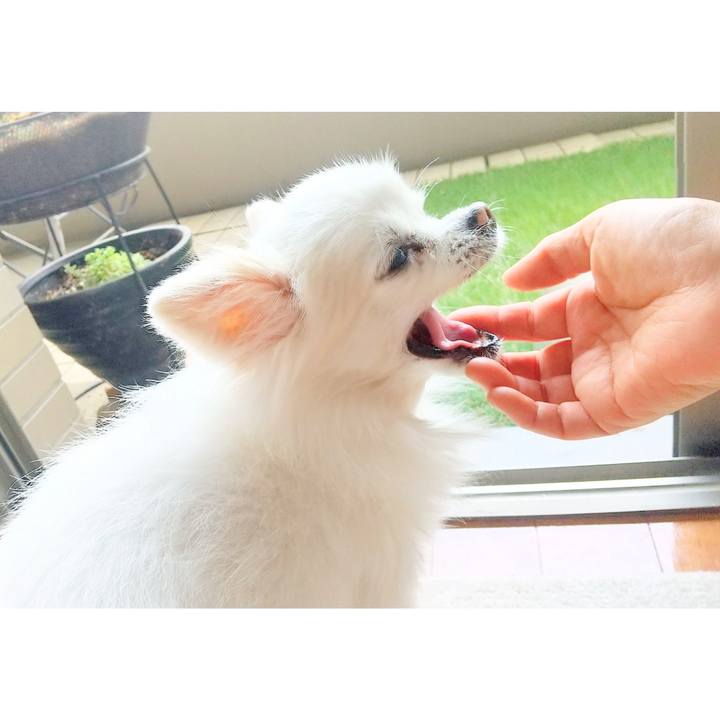 F0d4fd8a 7f6f 4916 af6c 346d17b9dd52 1682309216424