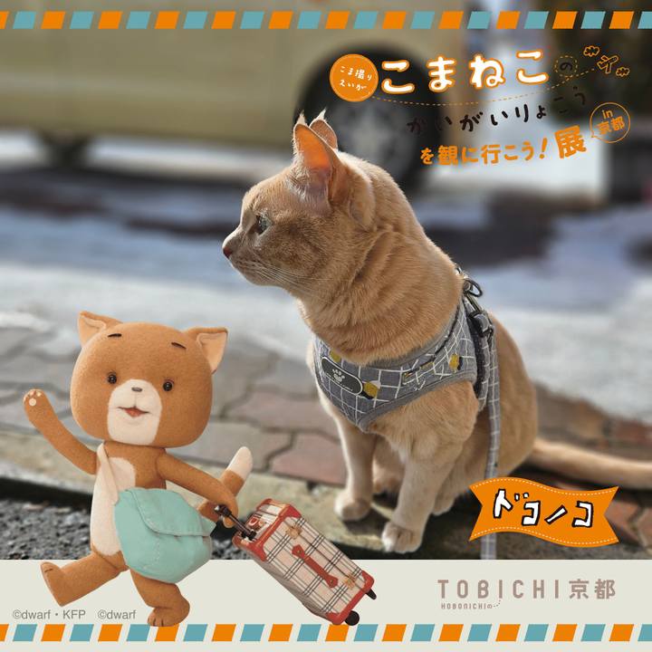 F0d506af 66eb 4ac9 bdd4 6e1728df9e9e 1740198161433