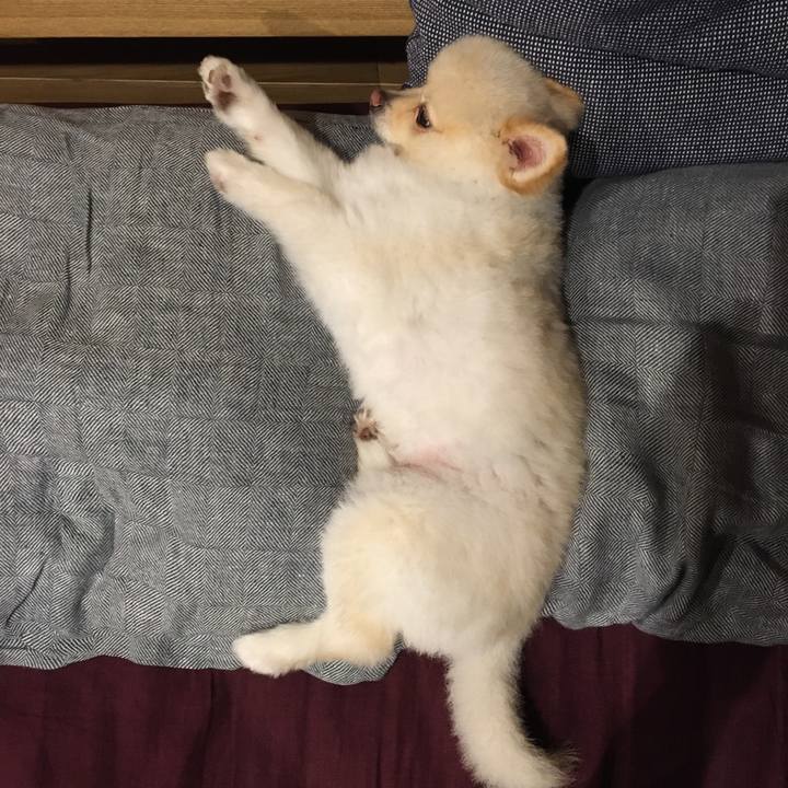 F0d5073b 543b 4da1 ba84 ede0b814c7b9 1599981078310