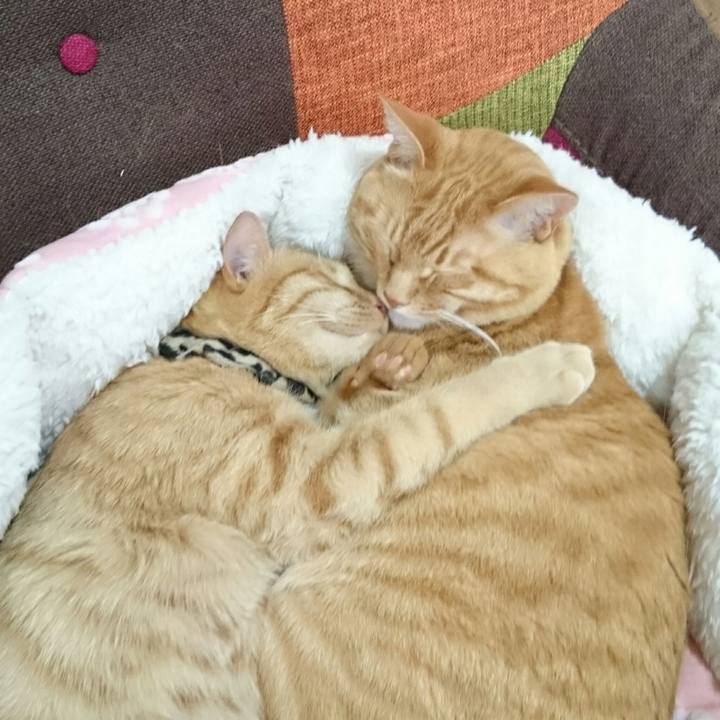 F0d5218c c6dc 4f44 a105 0b266485fa00 1556264970971