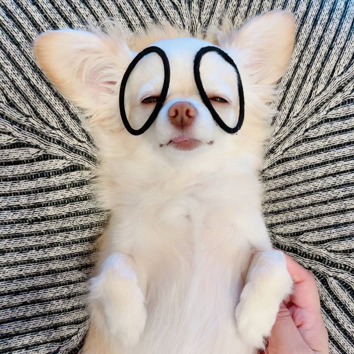 F0d522a4 0455 49e1 8113 203eb38e478f 1721218694868