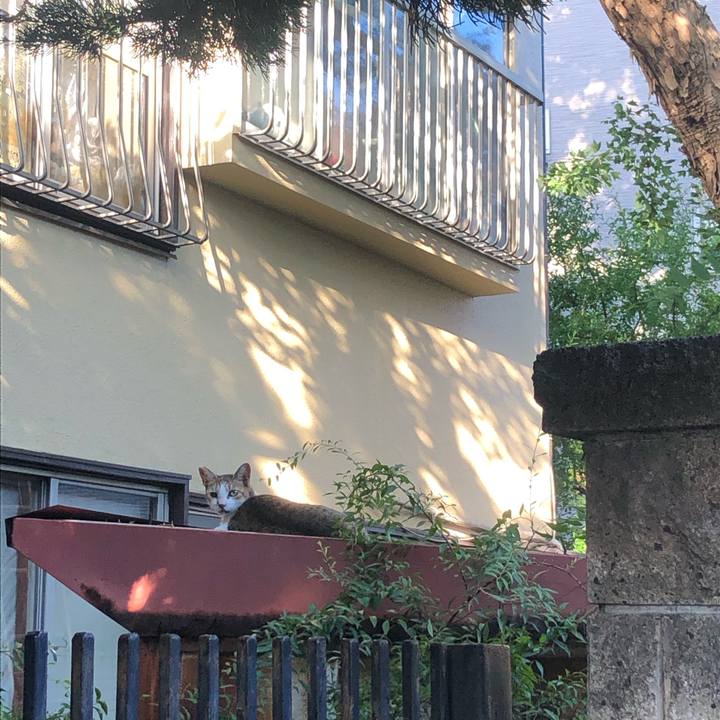 F0d54c56 c285 42a3 8b44 23a27f1a342c 1599978761594