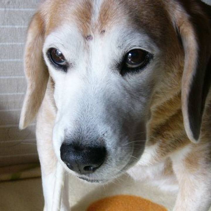 F0d5516d 457e 4f45 b16f f04e62ec2bf1 1676510311626