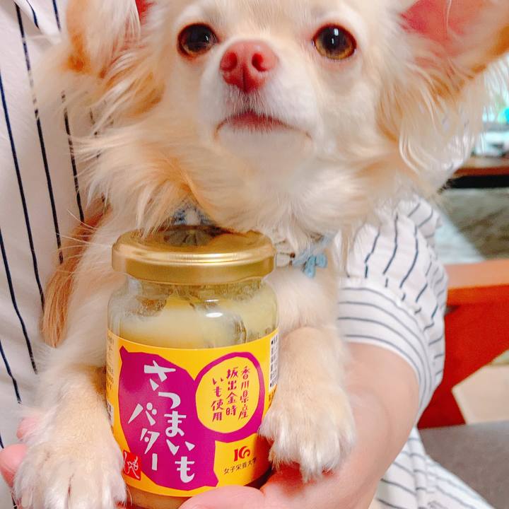 F0d5643e 9e44 491a 8c0b e2e829c7d1c9 1619923311753